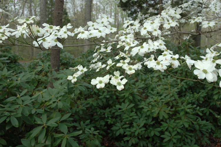 Mineral Springs Plantation Spring Tour by Pamela Ulans