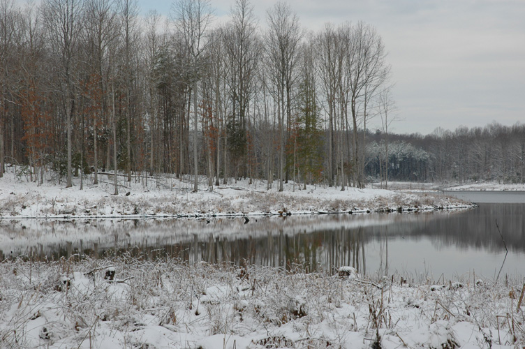 Mineral Springs Plantation Winter Tour by Pamela Ulans