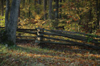 Mineral Springs Plantation Fall Tour by Pamela Ulans