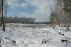 Mineral Springs Plantation Winter Tour by Pamela Ulans