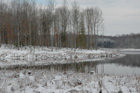 Mineral Springs Plantation Winter Tour by Pamela Ulans